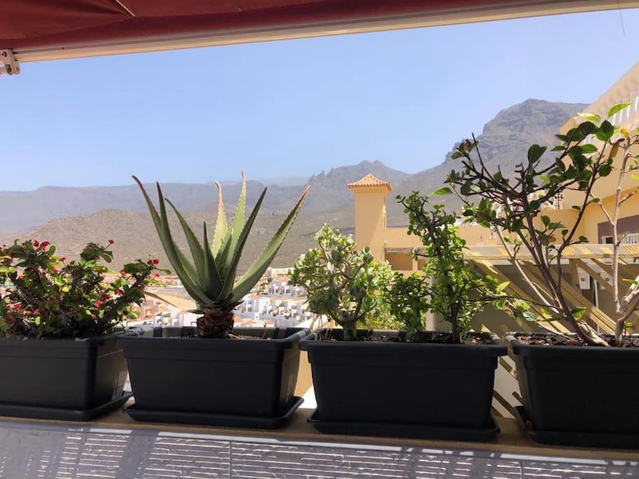Apartamento Con Impresionantes Vistas Y Piscina Costa Adeje  Exterior photo
